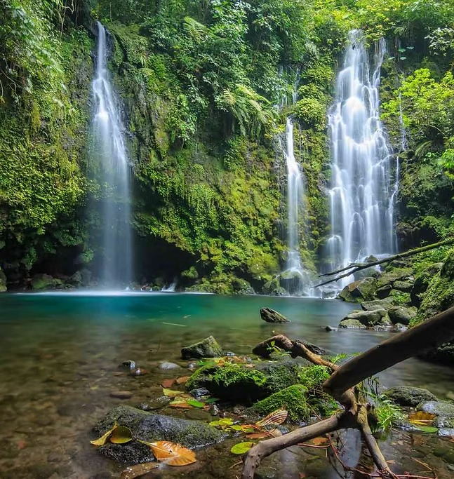 （報名期已結束） 印尼｜國家公園大象保育: 蘇門答臘熱帶雨林保育｜4月