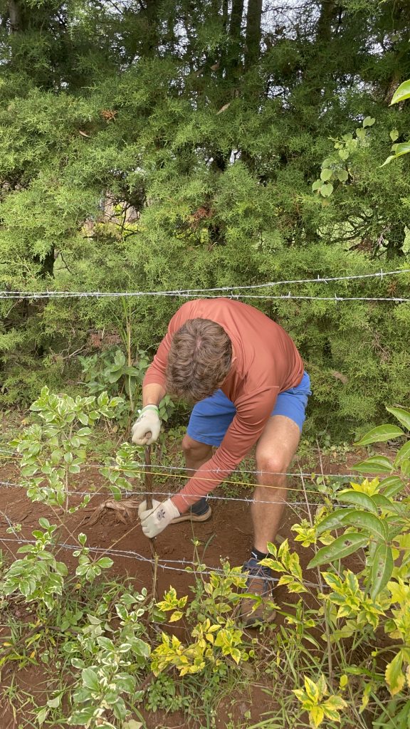 肯雅｜非洲希望中心｜長期工作營