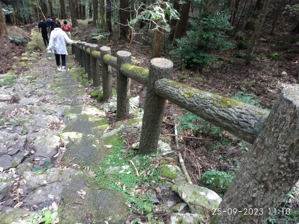 日本｜兒童學習樂園｜長期工作營