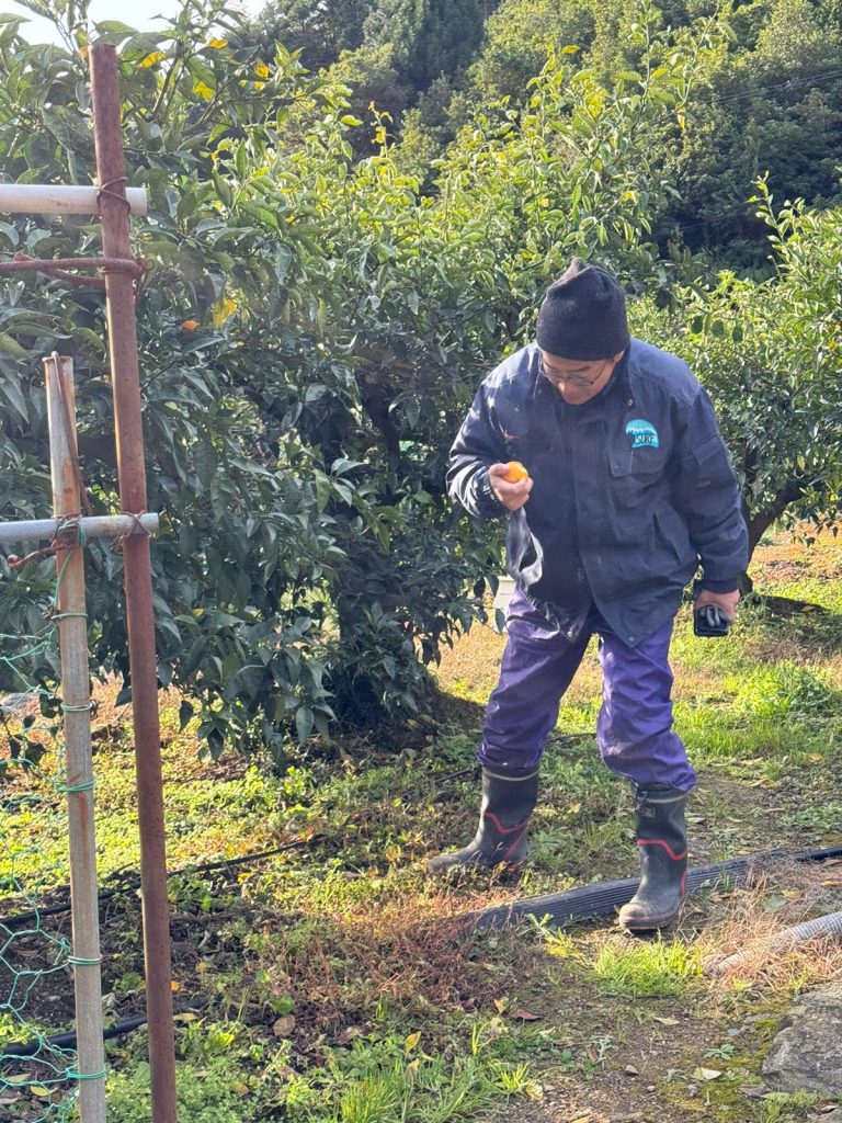 日本｜農耕社區共融體驗｜長期工作營