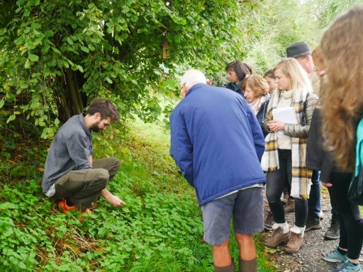 比利時｜B&B 教育工作體驗｜長期工作營