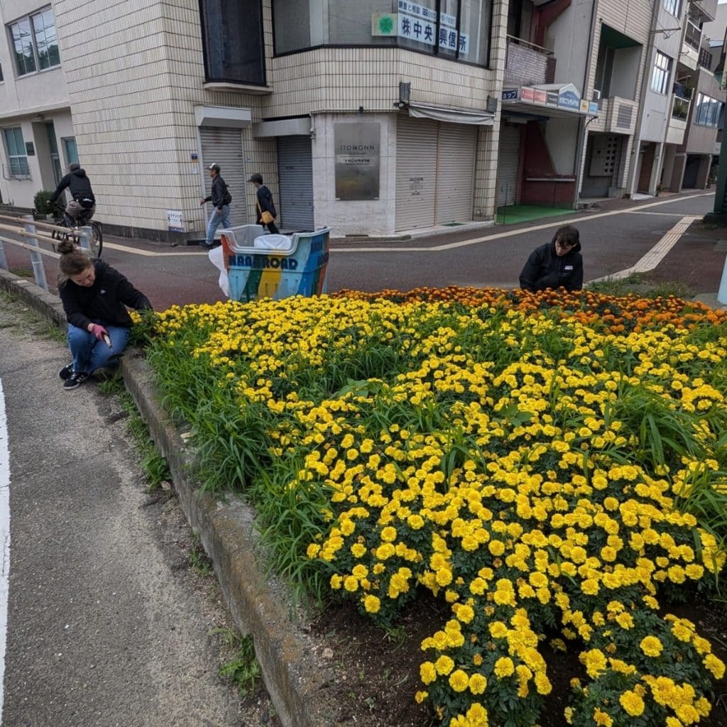 日本｜德島城市花路童行｜長期工作營