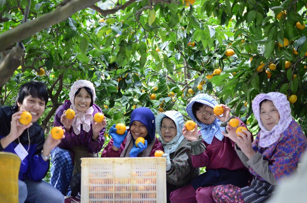 日本｜永續生活農村體驗｜長期工作營