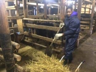 日本｜共耕社區體驗營｜長期工作營