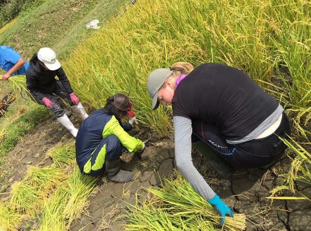 日本｜共耕社區體驗營｜長期工作營