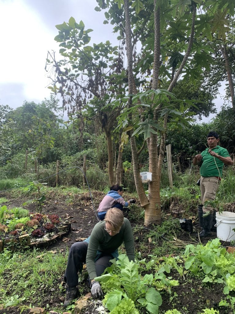 斯里蘭卡｜茶山同鄉遊｜1-3月