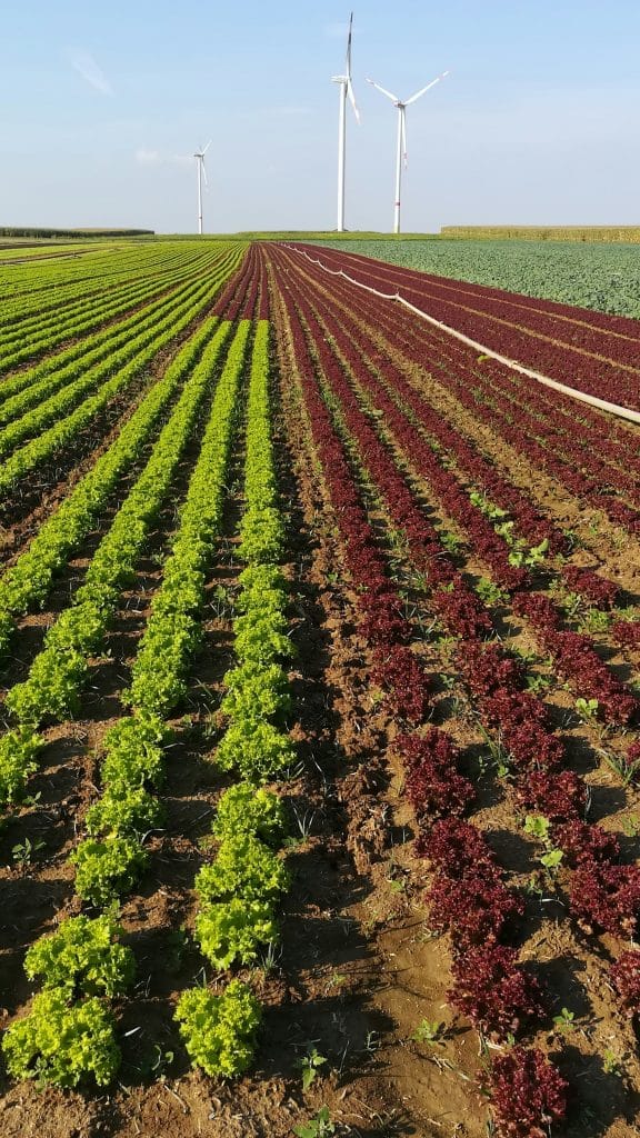 阿根廷｜農耕療癒與共融｜長期工作營