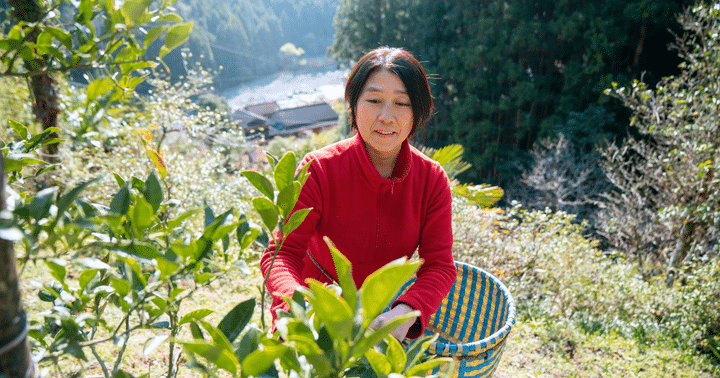 日本里山精神是什麼意思？與自然和諧共生的里山文化介紹